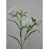 58cm Bell Flower Cream
