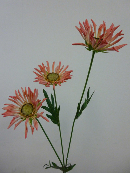 50cm Daisy x3 Hot Pink