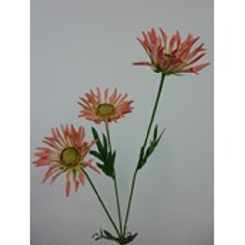 50cm Daisy x3 Hot Pink