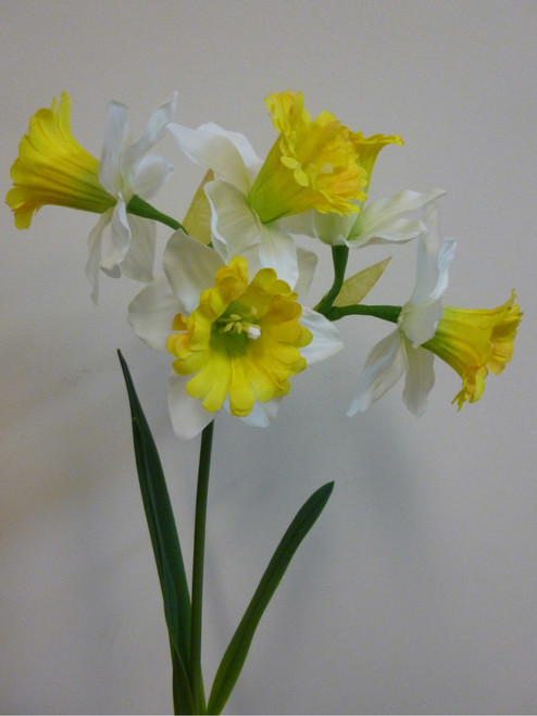 41cm Narcissus Spray Cream
