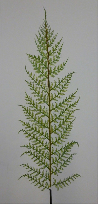 78cm Fern Spray Green
