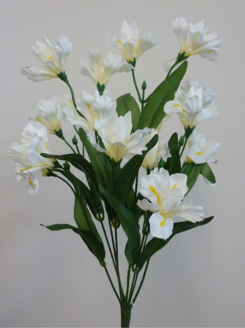 43cm Iris Bush x8 Cream