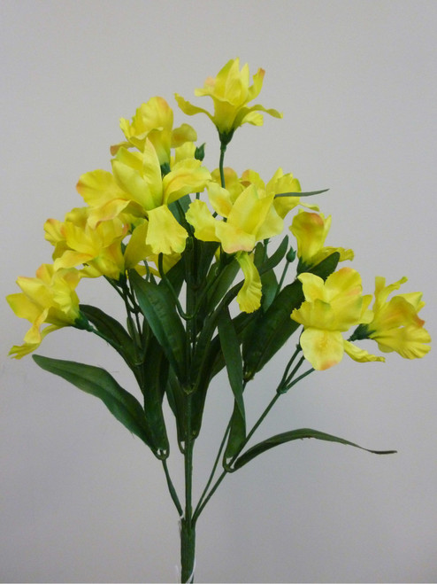43cm Iris Bush x8 Yellow