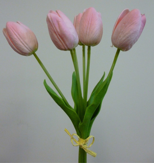40cm Tulip Bundle Pink