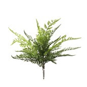 Wood Fern Large 35.5x35.5x46cm