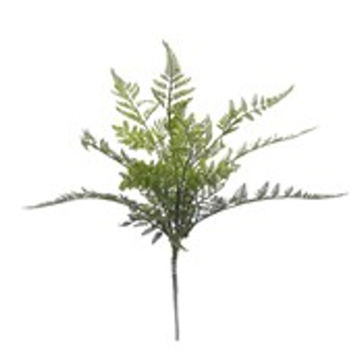 Wood Fern Small 28x28x40.5cm