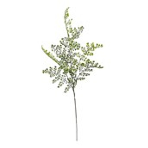 Short Stem Spray Ferns Wall Rue 30.5x15x81cm