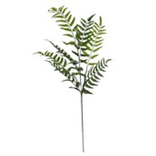 Short Stem Spray Ferns Brake Fern 30.5x15x81cm