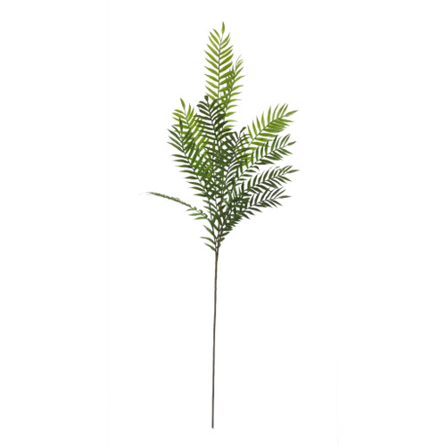 Long Stem Spray Brake Fern 35.5x15x106cm