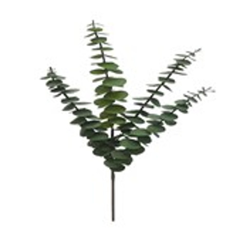 Eucalyptus Small leaf Green 15x5x65cm