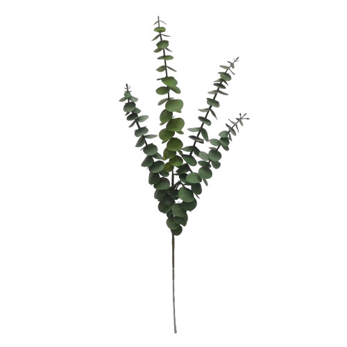 Eucalyptus Small leaf Grey 15x5x65cm