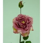 66cm Rose x2 Hot Pink