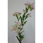 86cm Lilac Blossom Pink