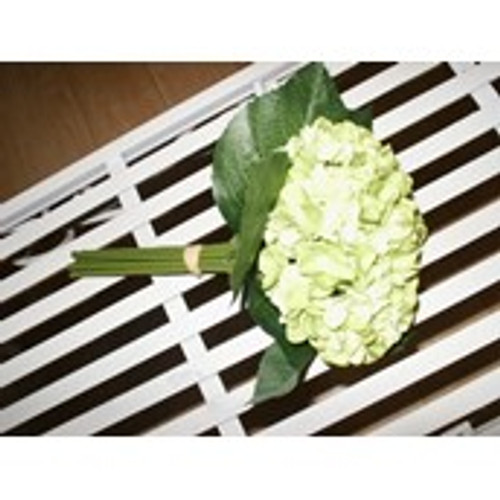 Hydrangea Bundle Lime Green