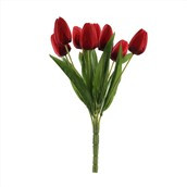 Essential Tulip Bunch - Red