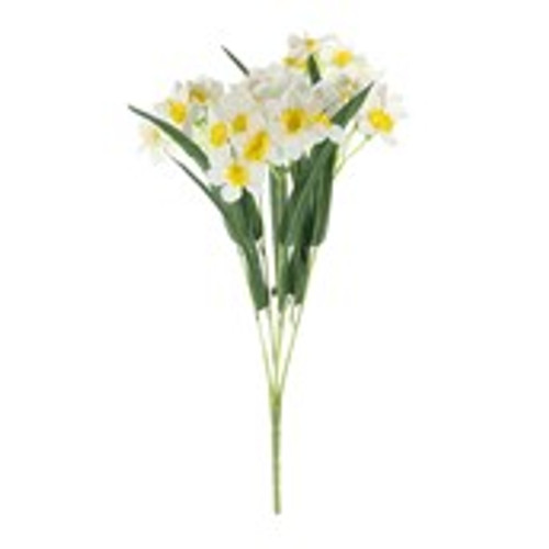 Essential Narcissus Bush with Leaves - White