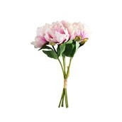 Essential Peony Bouquet - Dusky Pink