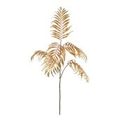 Chamaedorea Spray Gold 147cm