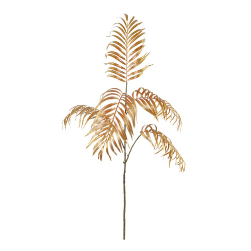 Chamaedorea Spray Gold 147cm