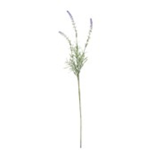 Essential Lavender Stem Essential Lavender Stem