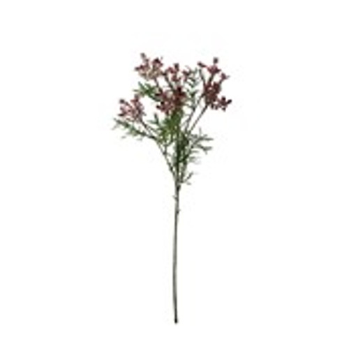 Essential Broom Bloom - Lavender