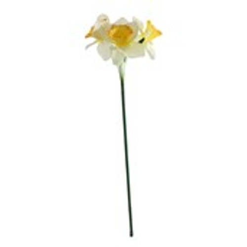 Essential Mini Daffodil x3 Heads - White Essential Mini Daffodil x3 Heads - White
