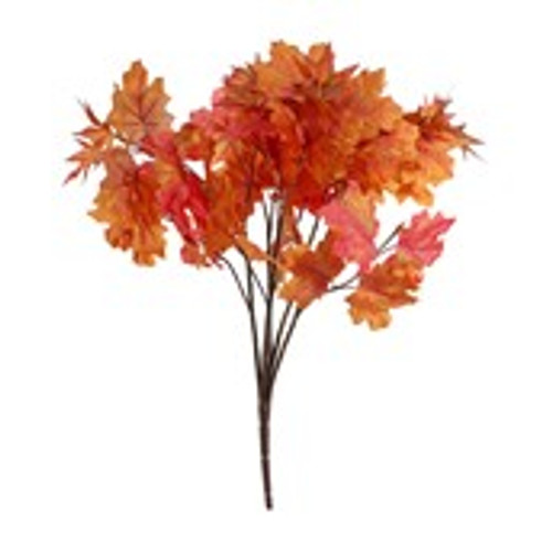 Essential Autumn Maple Bush - Red