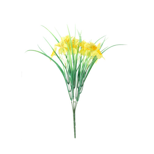 Essential Wild Daffodil Bunch - Yellow