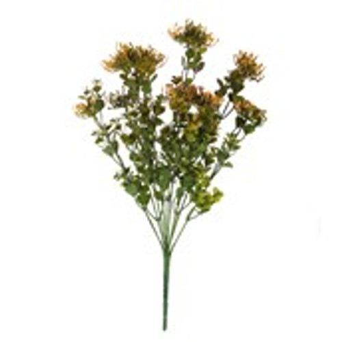 Essential Sedum Bush - Orange