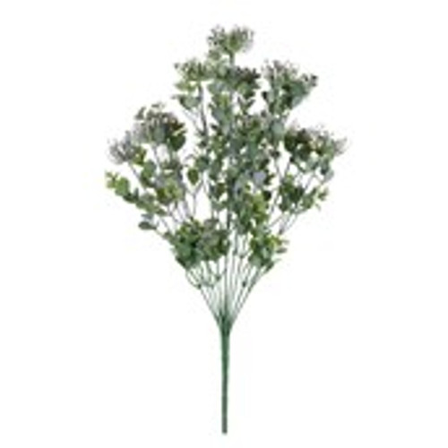 Essential Sedum Bush - Lilac