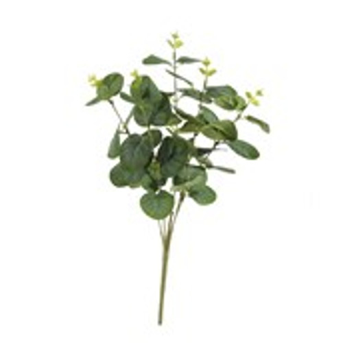 Essential Eucalyptus Bush - Green