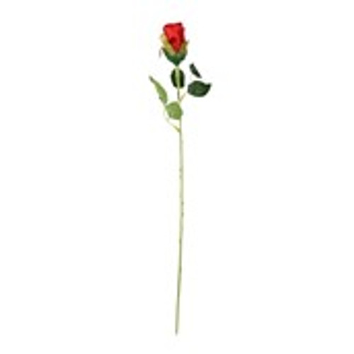 Essential Red Rose bud 