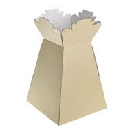 Living Vase Super Cream 30Pk