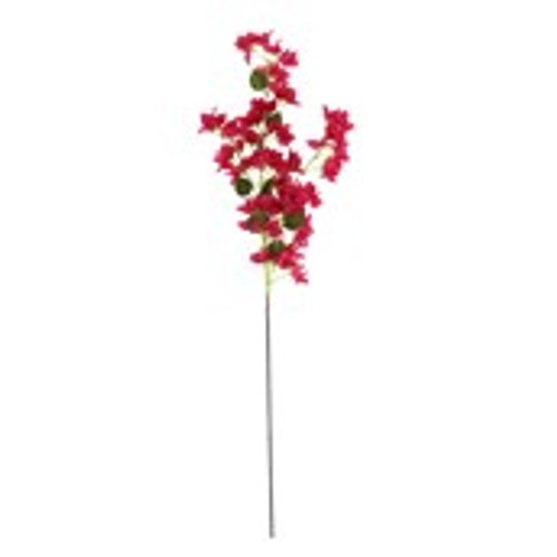 Essential Bougainvillea Spray -Pink