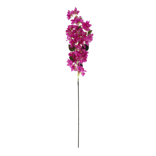 Essential Bougainvillea Spray - Purple