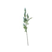 Essential Thistle - Blue