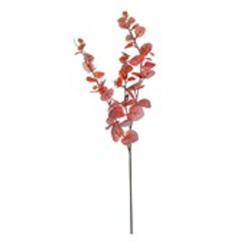 Essential Autumn Eucaylyptus Stem - Red 