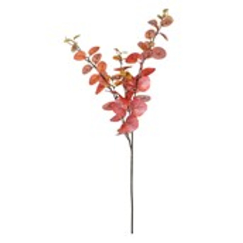 Essential Autumn Eucaylyptus Stem - Red/Orange