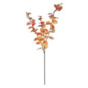 Essential Autumn Eucaylyptus Stem - Orange