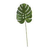 Essential Medium Monstera Leaf - Green - 71cm