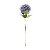 Essential Giant Hydrangea KD - Purple/Green
