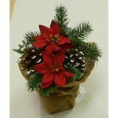 20cm Poinsettia/Cone in Burlap
