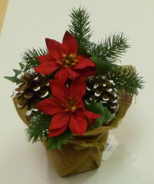 20cm Poinsettia/Cone in Burlap