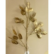 84cm Silver Dollar Spray Copper