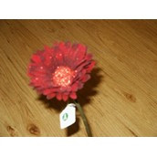 Burgundy Velvet Single Gerbera