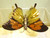 7cm Butterfly Clip Decoration x6
