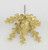 Glitter Eucalyptus Pick Champagne