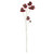 Helenium Flower - Burgundy - 101cm