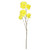 Tabebuia Trumpet Tree - 115cm