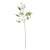 Blossom Spray Cream - 148cm